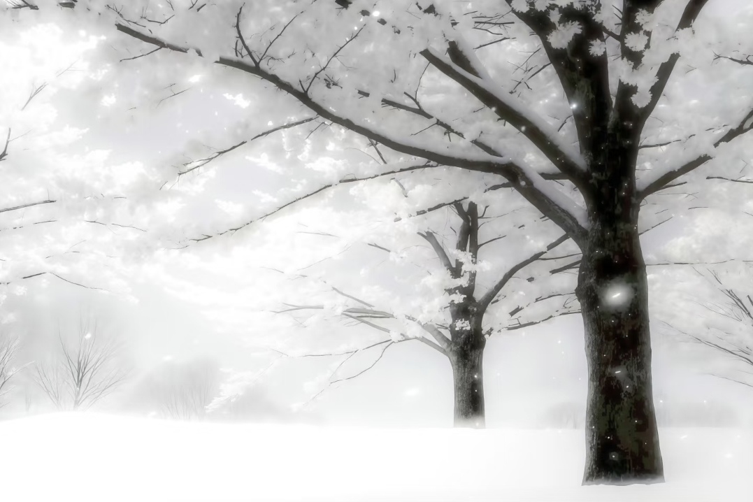 desktop cover